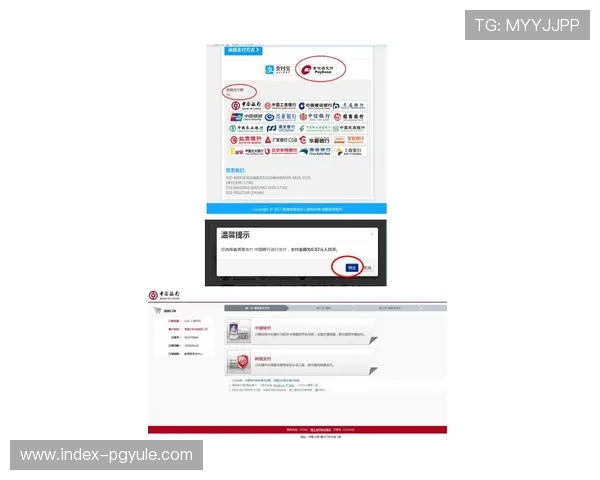 博鱼真人平台登录入口使用指南，详细介绍登录流程与常见操作技巧