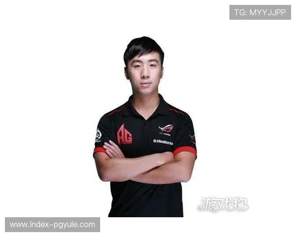 如何正确选择AG国际在线地址登录入口，确保账号安全和游戏体验流畅稳定