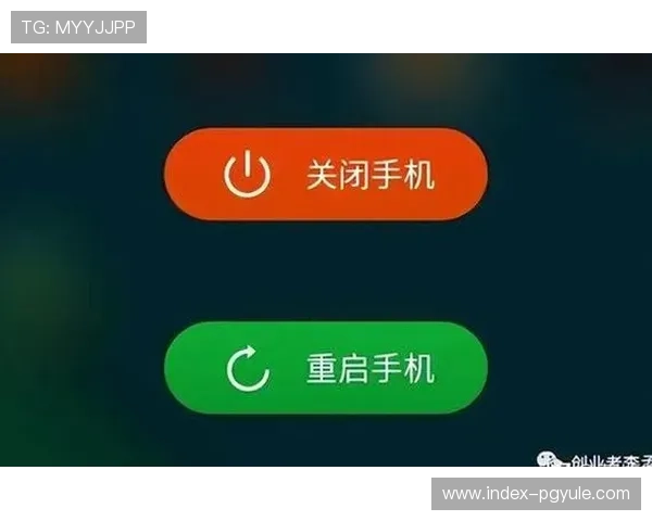 OB视讯平台如何提升企业远程会议的效率与安全性详尽解析